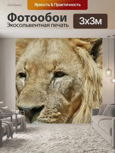 Фотообои Лев