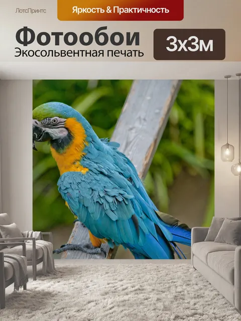 Фотообои Ара
