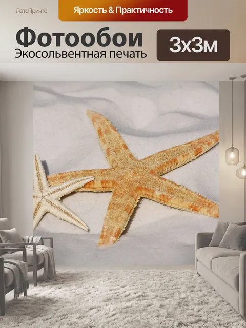 Фотообои морская звезда