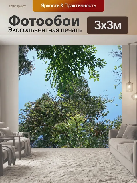 Фотообои небо над деревьями