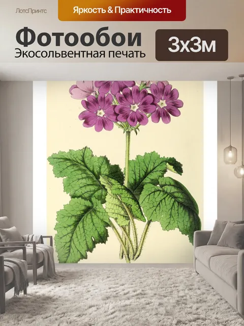 Фотообои Искусство иллюстрации садовых цветов
