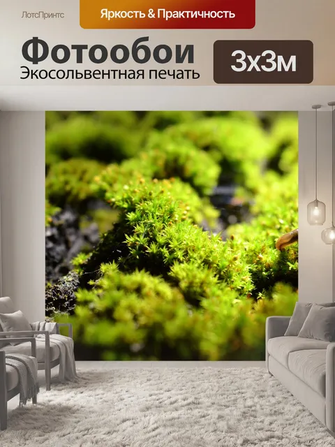 Фотообои Мосс