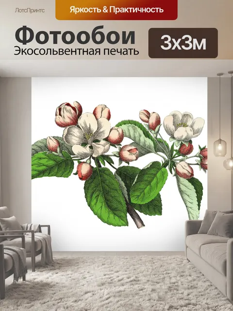 Фотообои Винтажная иллюстрация яблоневого цвета