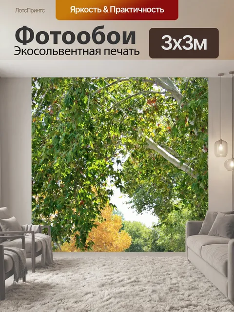 Фотообои клены с солнцем на листьях