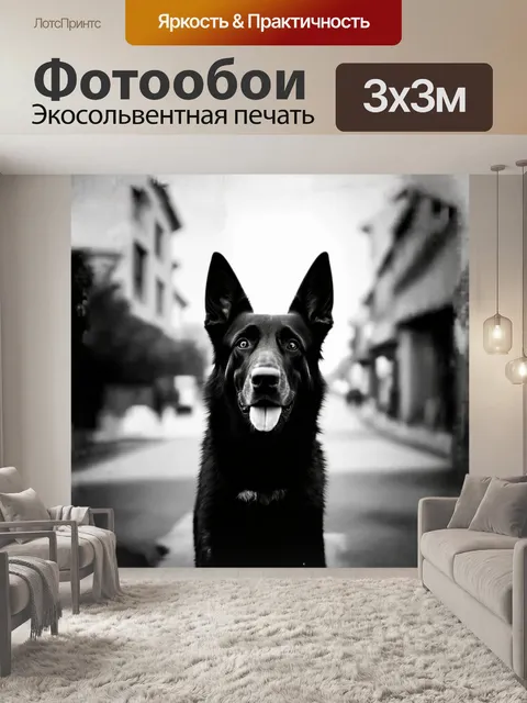Фотообои минималистическая фотография немецкой овчарки в черно-белом цвете