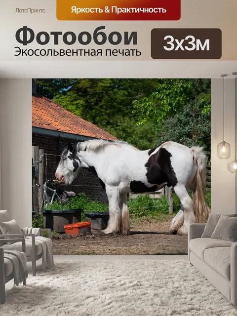 Фотообои Лошадь, фермерская лошадь, упряжная лоша