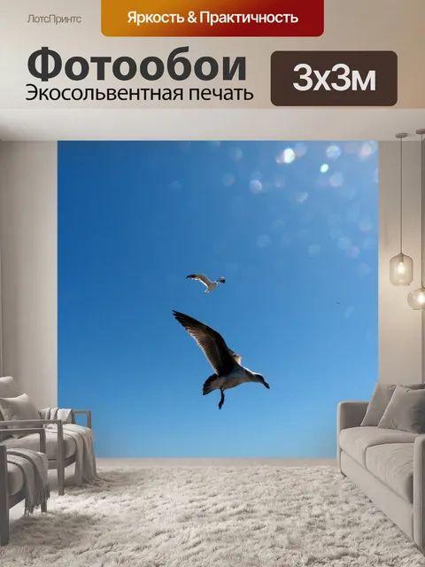 Фотообои Две чайки в полете