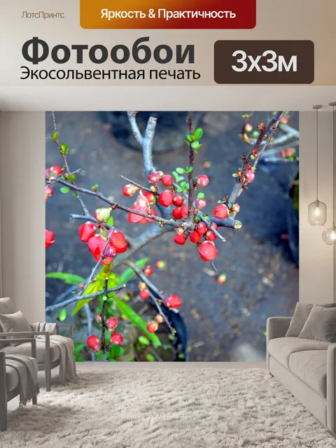 Фотообои Весенние Цветет