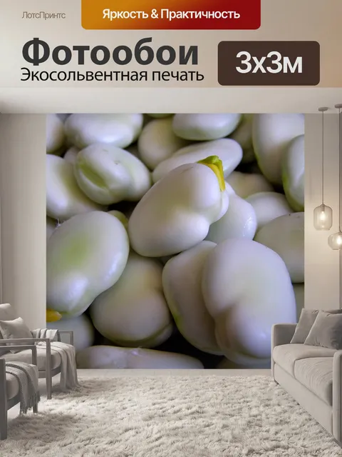 Фотообои Бобы