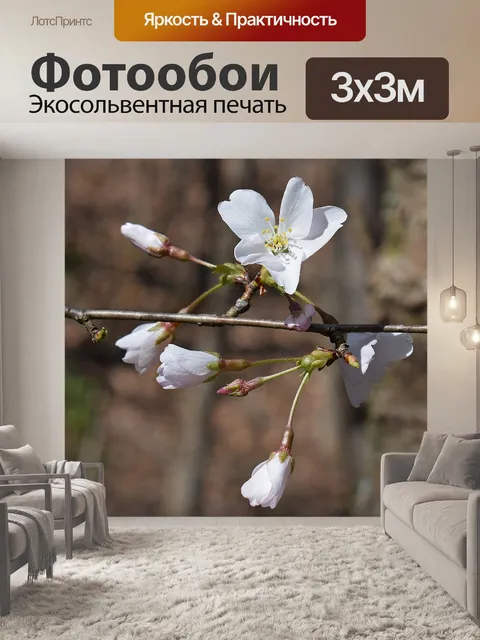 Фотообои Нежный сакуры