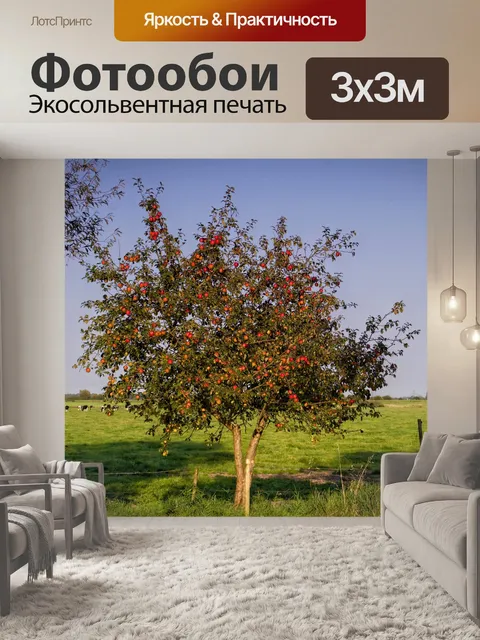 Фотообои Яблоня