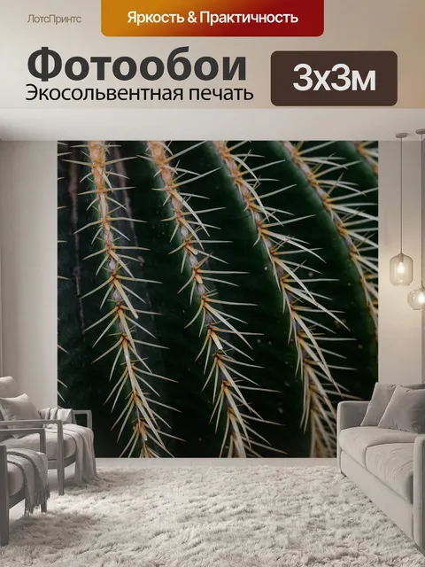 Фотообои Золотой шар кактус
