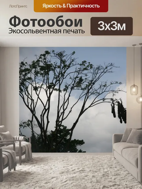 Фотообои Коста-Рика Птичье гнездо