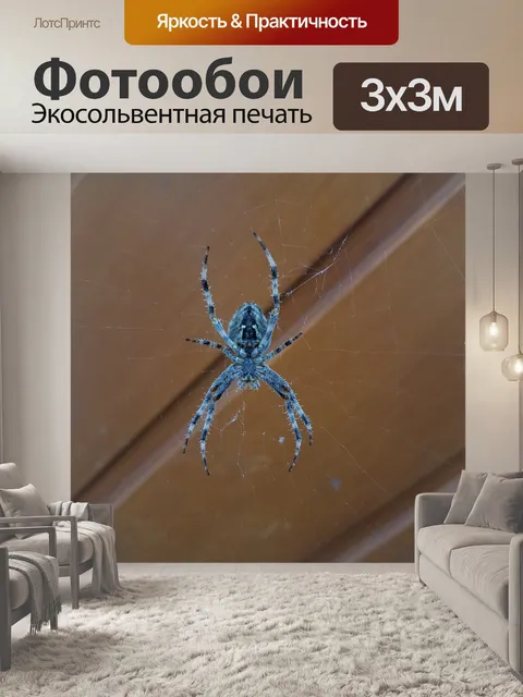 Фотообои Паук