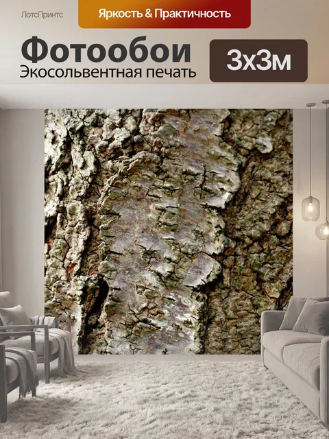 Фотообои Кора абрикосового дерева