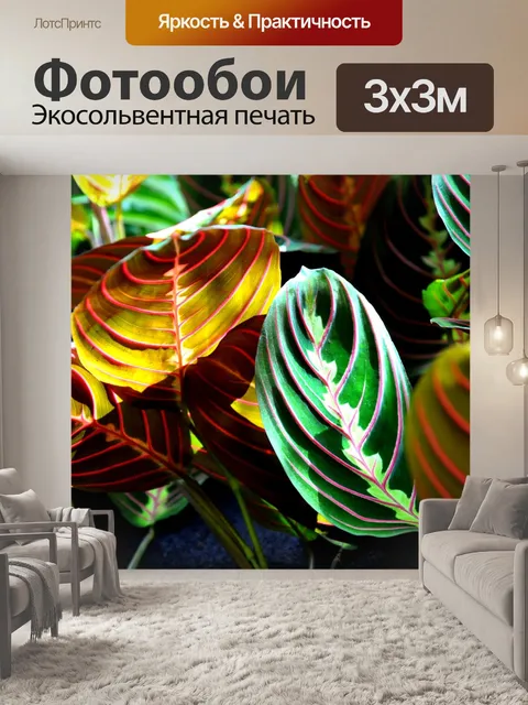 Фотообои Маранта