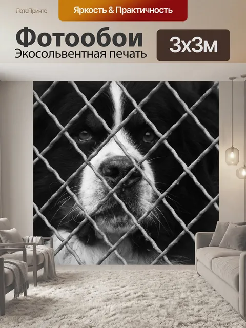 Фотообои Собака за забором
