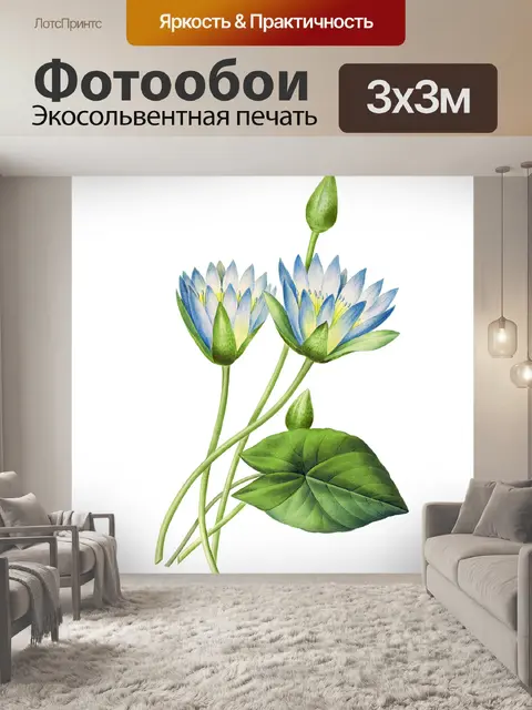 Фотообои Кувшинка цветок старинное искусство