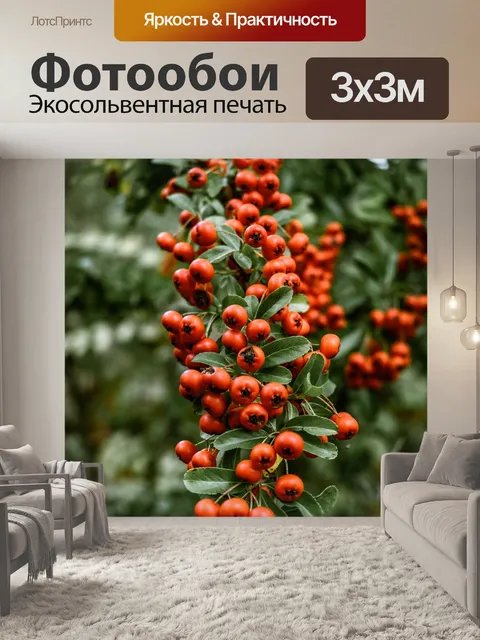 Фотообои Терновник