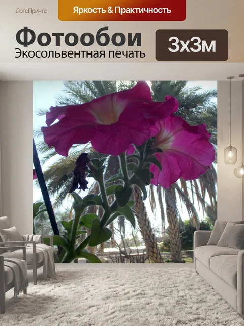 Фотообои розовые цветы