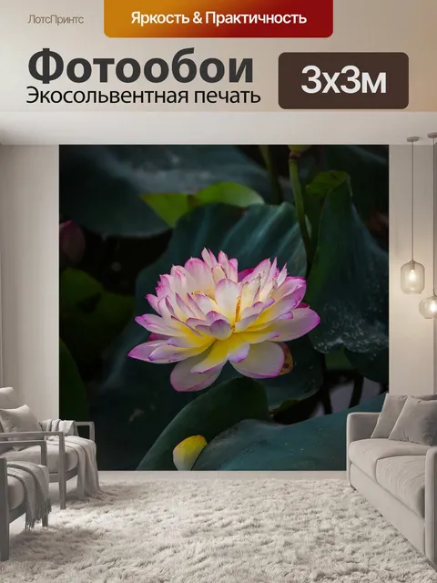 Фотообои Золотой лотос розовый границы