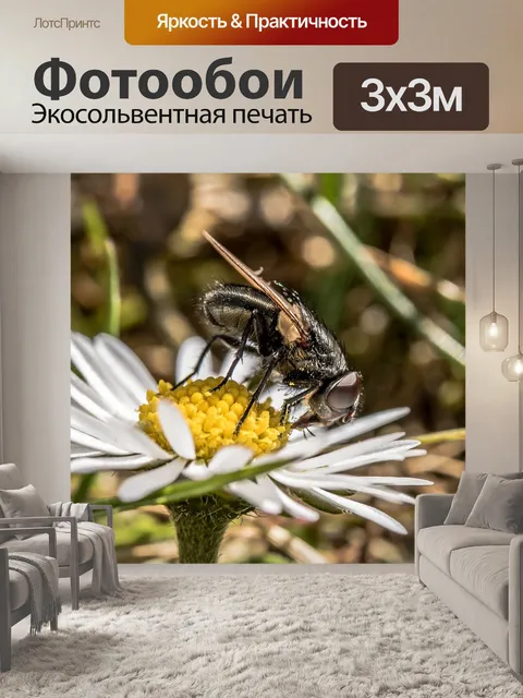 Фотообои Bluebottle