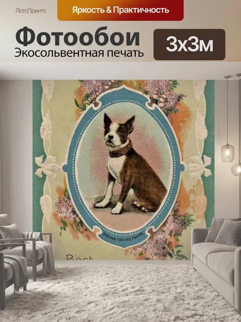 Фотообои Французский бульдог с наилучшими пожелан