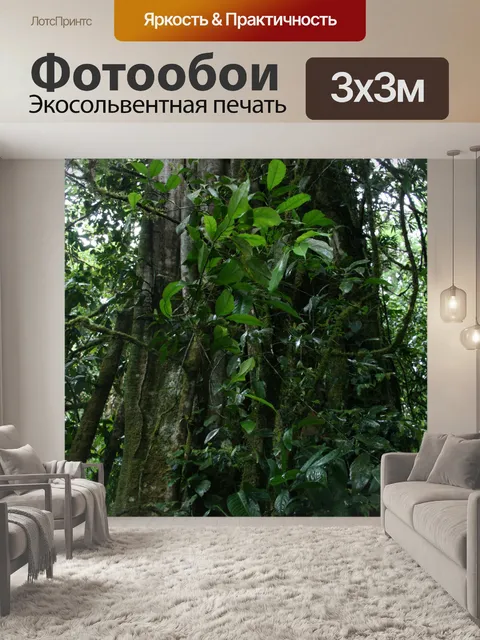Фотообои Коста-Рика Дерево