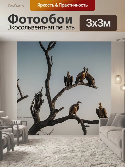 Фотообои Стервятники
