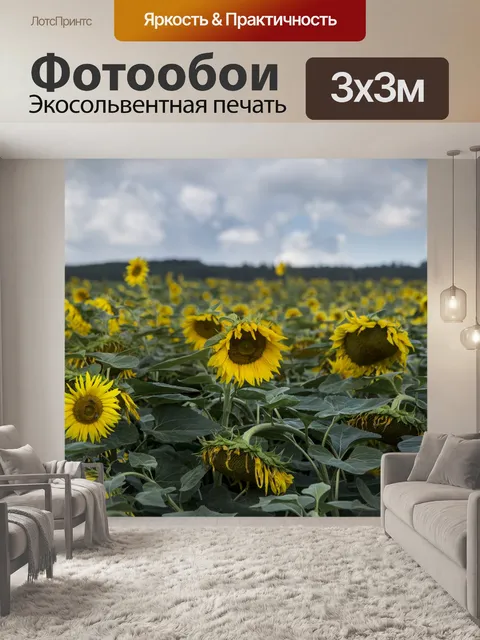 Фотообои Поле подсолнухов