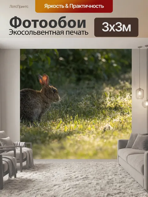 Фотообои Кролики