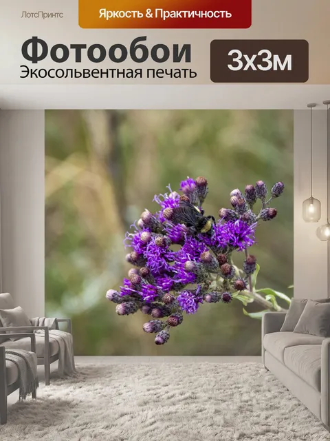 Фотообои шмель на полевых цветах