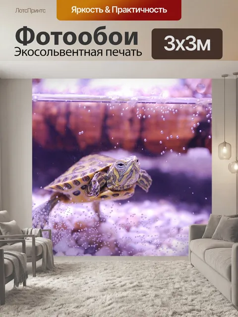 Фотообои Черепаха