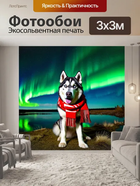 Фотообои хаски с ярким шарфом на фоне северного сияния