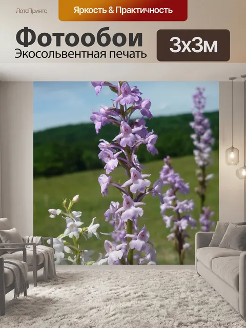 Фотообои Комары-händelwurz