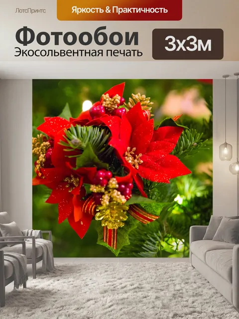 Фотообои Поинсеттиа Рождественская