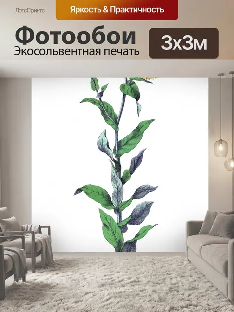 Фотообои Цветы клипарт графический рисунок