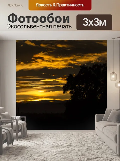 Фотообои Золотой силуэт заката