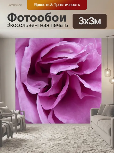 Фотообои Крупным планом Розовые розы