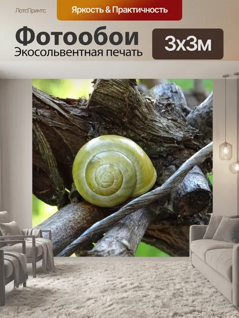 Фотообои Природа