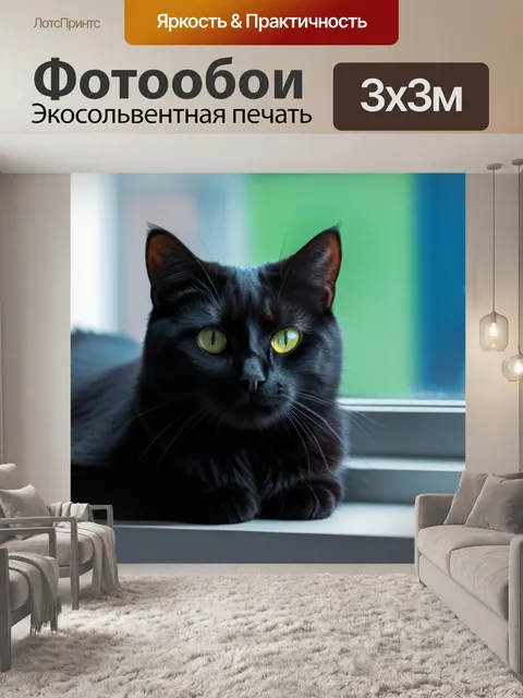 Фотообои чёрная кошка на окне