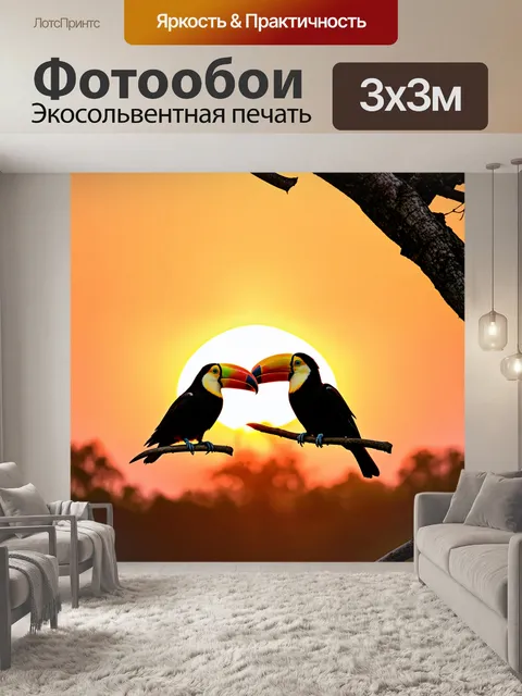 Фотообои два тукана, общающихся на фоне заката