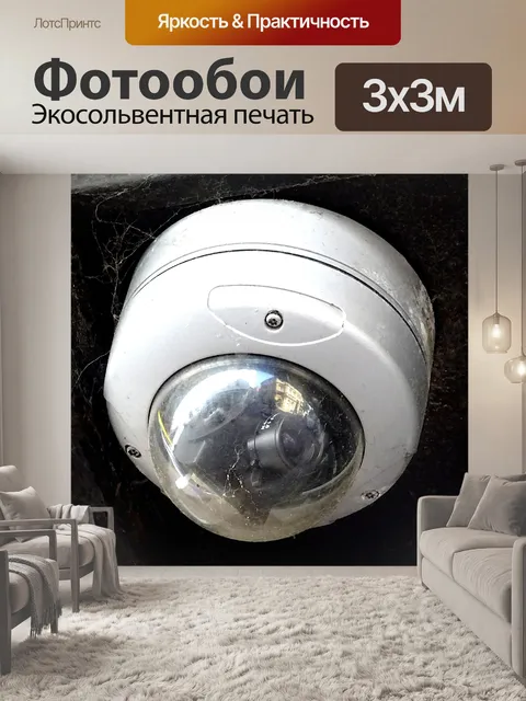 Фотообои Купольная камера видеонаблюдения