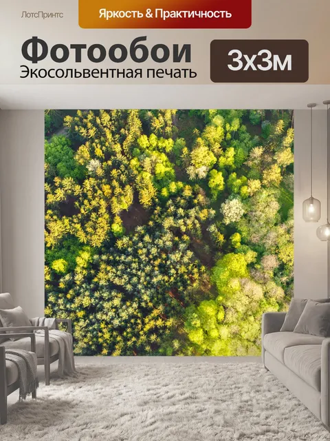 Фотообои Воздушные верхушки деревьев