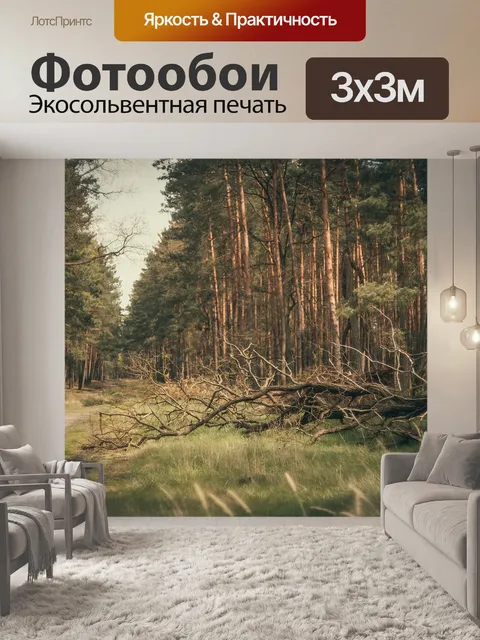 Фотообои Путь