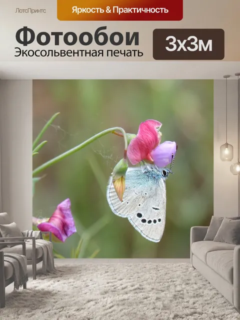 Фотообои Голубая бабочка