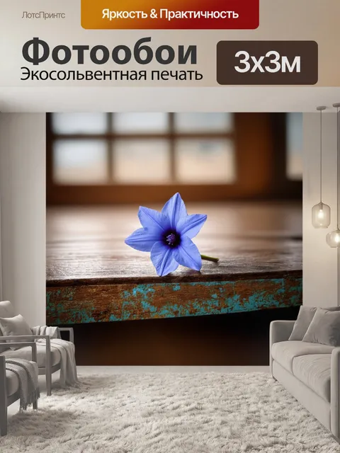 Фотообои одинокий синий цветок на старинной деревянной поверхности, покрытой патиной времени