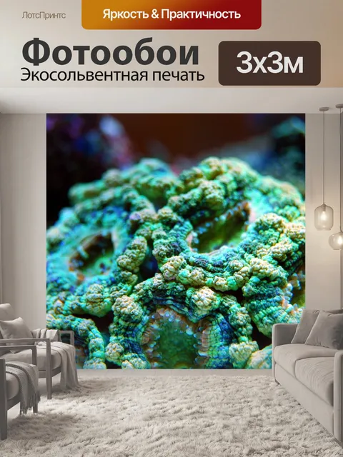 Фотообои Коралл