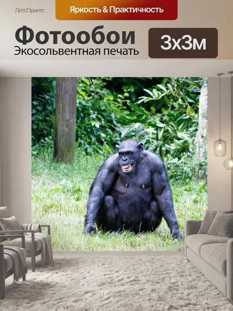 Фотообои Счастливый Шимпанзе обезьян