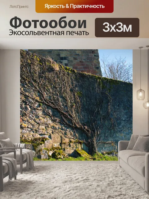 Фотообои Стена